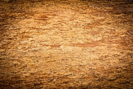 background bark rough with vignettingの写真素材
