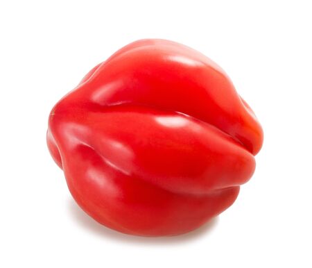 Red tomatoes isolated on whityeの写真素材