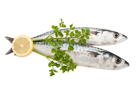 mackerels with parsley and lemon isolated on whiteの写真素材