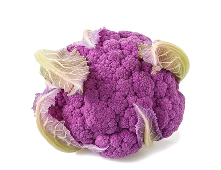Purple cauliflower isolated on whiteの写真素材