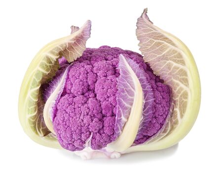 Purple cauliflower isolated on whiteの写真素材