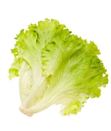 lettuce Salad  isolated on whiteの写真素材