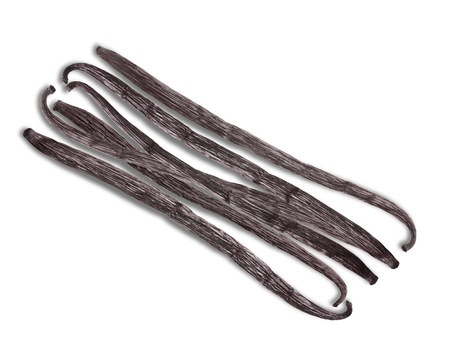 vanilla stick  isolated on whiteの写真素材