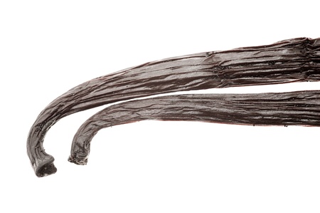vanilla stick  isolated on whiteの写真素材