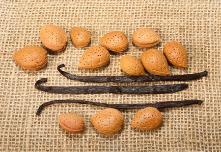almond and vanilla on jute backgroundの写真素材