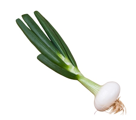 Scallion sprig isolated on whiteの写真素材