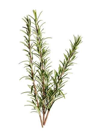 Fresh rosemary leaves on white background の写真素材