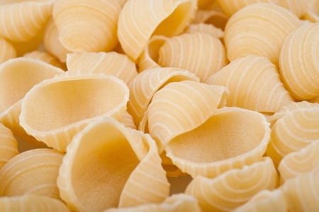 Group of conchiglie italian pastaの写真素材