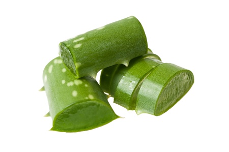 aloe vera isolated on whiteの写真素材