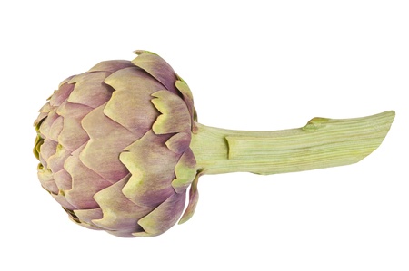 Fresh Artichoke Isolated on Whiteの写真素材