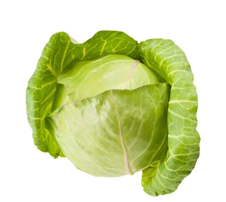 Green cabbageの写真素材