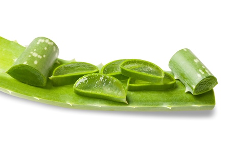 aloe vera isolated on whiteの写真素材
