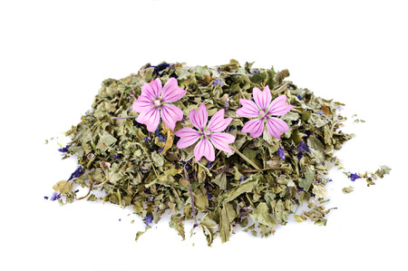 Dried mallow with flowers  isolated on whiteの写真素材