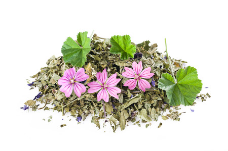 Dried mallow with flowers  isolated on whiteの写真素材