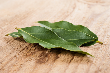 Laurel leaves on wood backgroundの写真素材