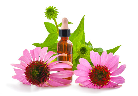Coneflower extract with dropper and flowers isolated on whiteの写真素材