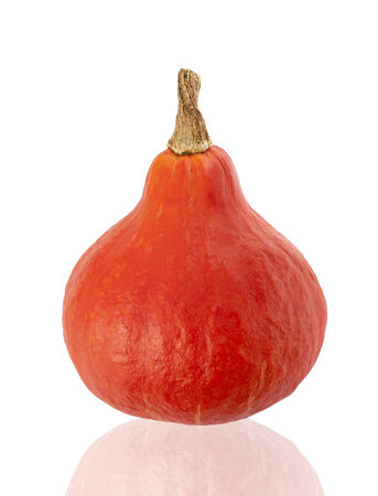 Red kuri squash isolated on white backgroundの写真素材