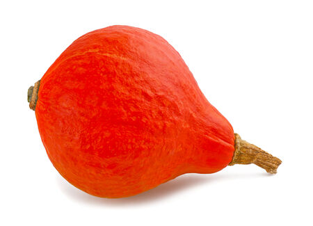 Red kuri squash isolated on white backgroundの写真素材