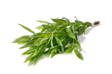 bladder campion plants ( silene vulgaris ) isolated on whiteの写真素材