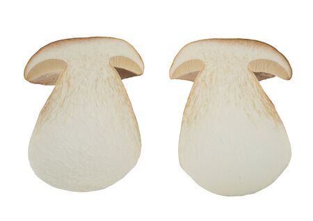 sliced boletus mushrooms isolated on whiteの写真素材
