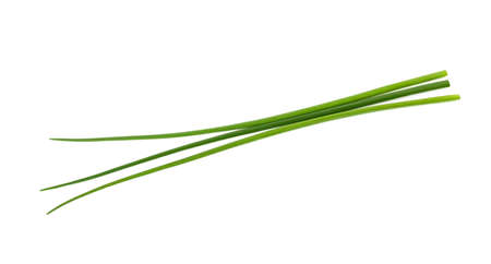 Fresh Chives isolated on white background