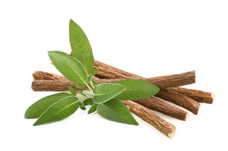 Sage and licorice roots isolated on white Backgroundの写真素材
