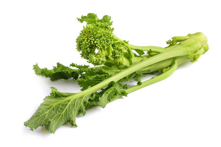 Fresh rapini or broccoli rabe isolated on white backgroundの写真素材