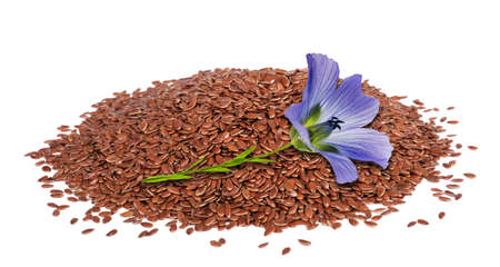 Blue Flax Flower on flax seeds isolated on whiteの写真素材