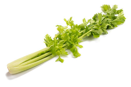 Fresh celery isolated on white backgroundの写真素材
