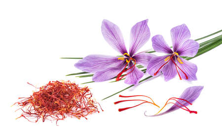 Saffron flowers with dried stigmas group isolated on white backgroundの写真素材