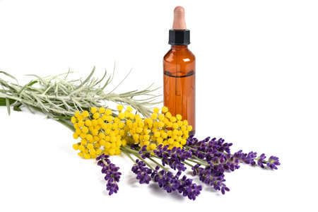lavender and helichrysum flowers with bottle isolated on white backgroundの写真素材