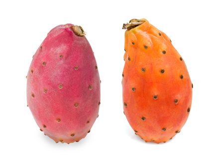 Prickly pears isolated on whiteの写真素材