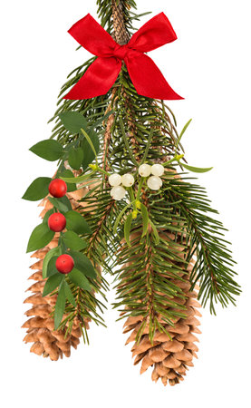 Christmas decoration with fir branch and  pine cones, mistletoe and butcher's broom  isolated on  white backgroundの写真素材
