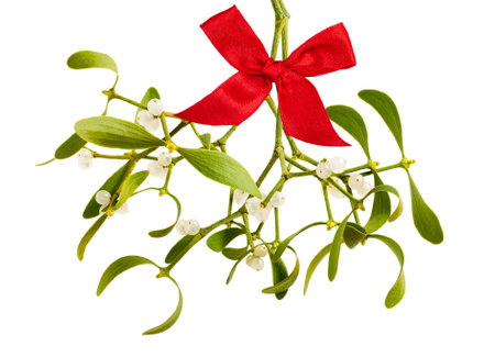 Mistletoe with red bow  isolated on  white backgroundの写真素材