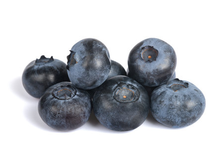 Northern highbush blueberry group isolated on white backgroundの写真素材