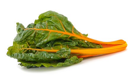 Fresh swiss chard isolated on white backgroundの写真素材