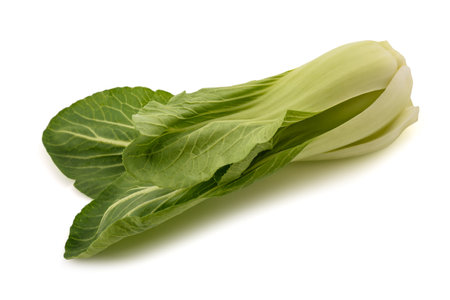Fresh Pak choi isolated on white backgroundの写真素材