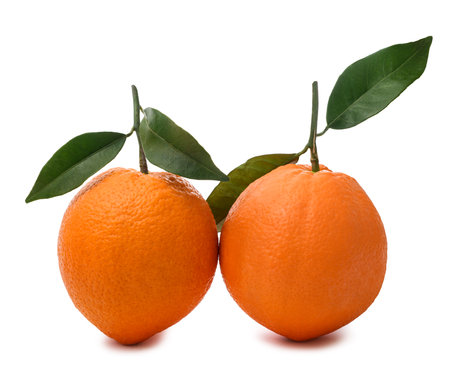 Two sweet oranges isolated on white backgroundの写真素材