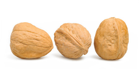 walnuts fruits isolated on white backgroundの写真素材