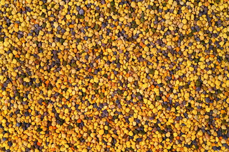 Bee pollen texture. background of pollenの写真素材