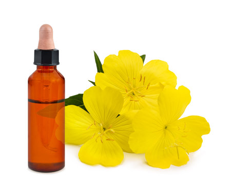Common evening primrose  with  essence bottle  flowers isolated on whiteの写真素材