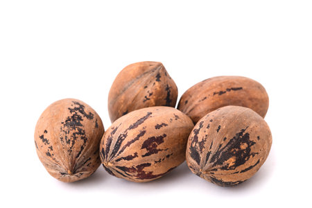 Pecan nuts group isolated on white backgroundの写真素材