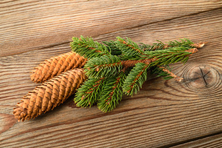 Spruce branch with cone isolated on wood backgroundの写真素材