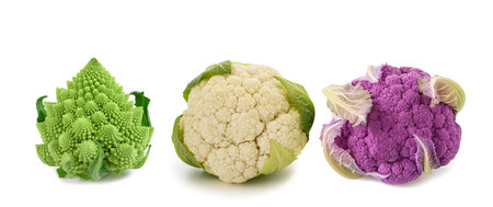 Cauliflowers and romanesque broccoli isolated on whiteの写真素材