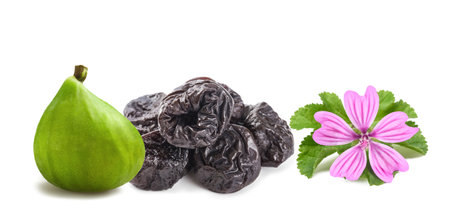 Mallow, fig and Dried plums isolated on whiteの写真素材