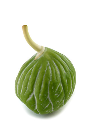 Apple of Sodom fruit isolated on whiteの写真素材