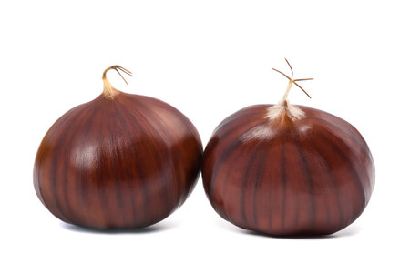 Fresh sweet chestnuts  isolated on white backgroundの写真素材