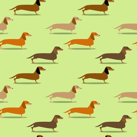 Seamless pattern with badger dogs of different colors on light green background. Illustration of funny dachshundsのイラスト素材