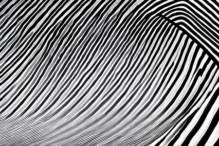 Abstract wavy background. Optical art black and white texture. Vector illustration.の素材