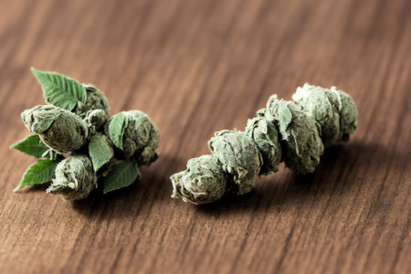 Cannabis buds on wooden background. Close-up of cannabis buds.の素材